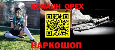 гашик Малгобек
