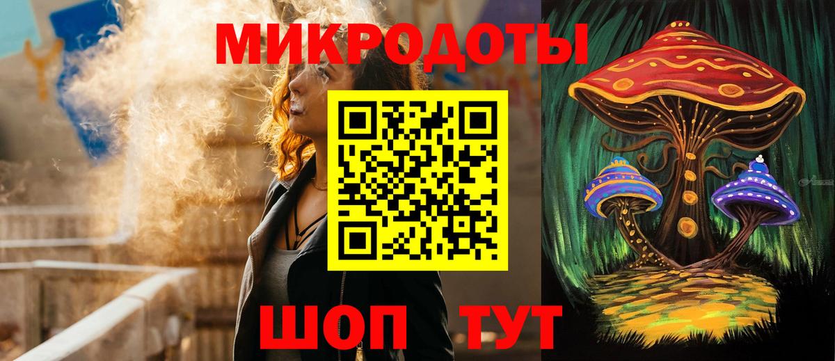 Галлюциногенные грибы Psilocybine cubensis Сургут