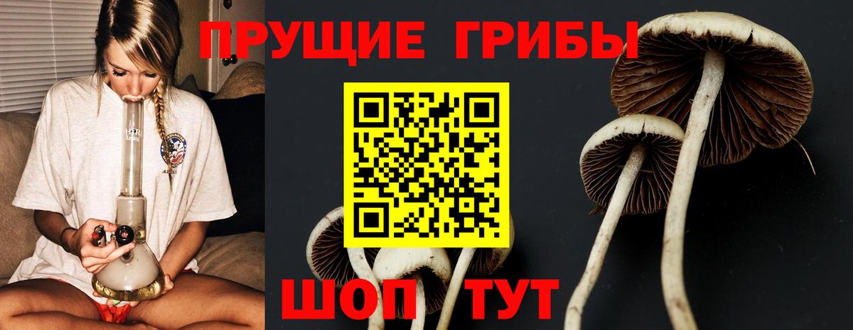 Псилоцибиновые грибы GOLDEN TEACHER  Вход с VPN  Сургут 