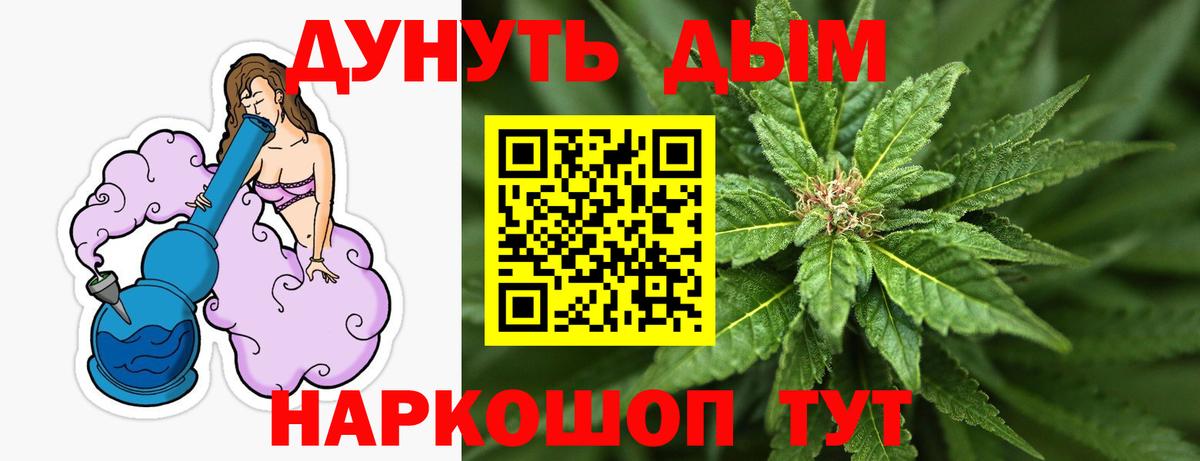 Канабис сатива Сургут